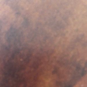 Meet your Posher, Angelica